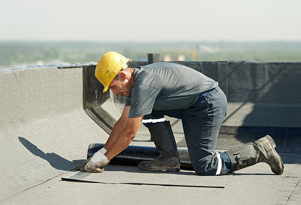 Best Commercial Insulation in Oak Grove, TN