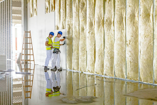 Best Commercial Insulation in Oak Grove, TN